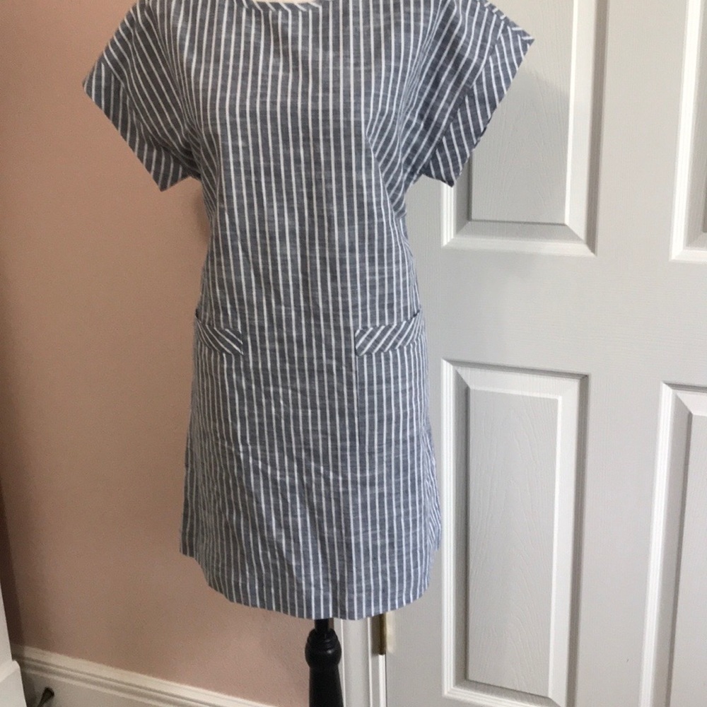 Applesed’s petites dress